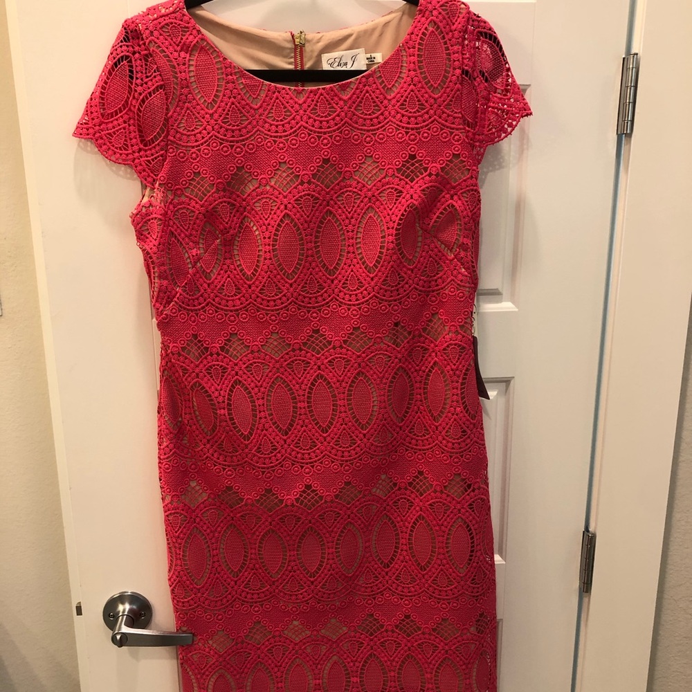 NWT Eliza J lace dress